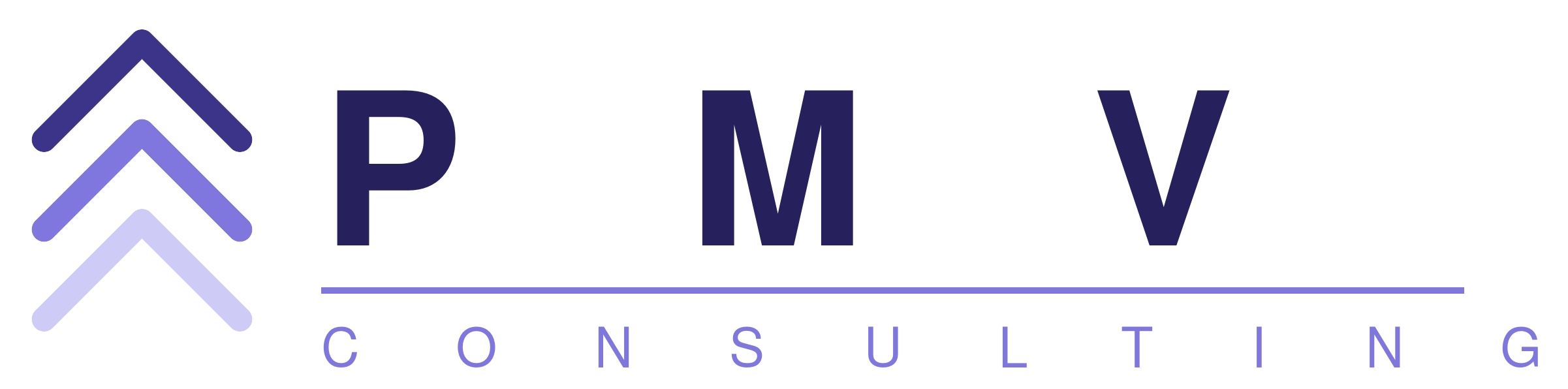 PMV Consulting
